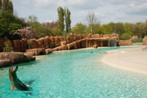 02 Active Oceans Blackpool Zoo hails Parques Reunidos improvements