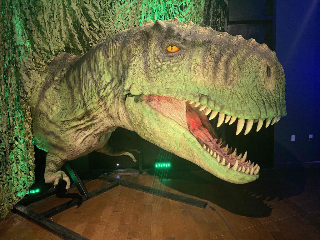 New experiential attractions Distortions Monster World