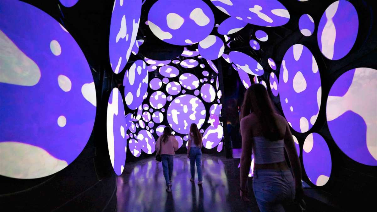 Seismique interactive art museum announces opening date