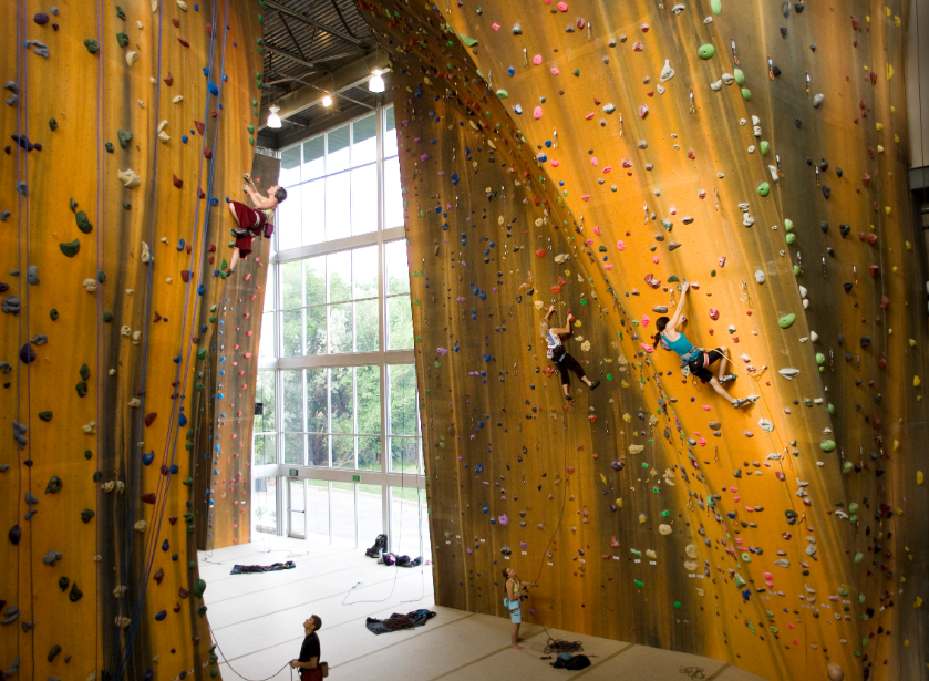 Walltopia’s climbing gym partnership with Momentum