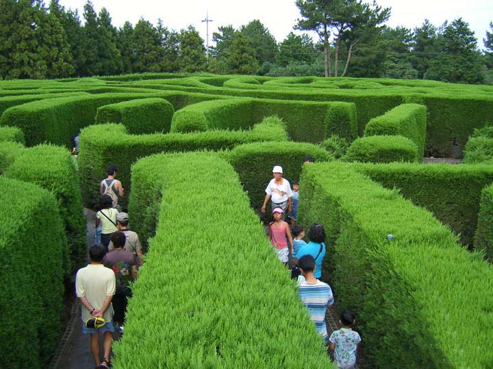 UK firm designs record breaker