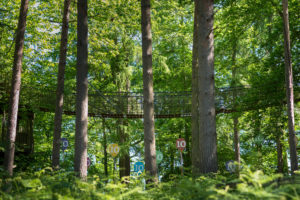 299f6f9e7e07fa67bd5599a556f5d762 The wild ones