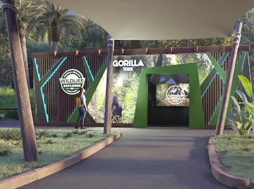 Edutainment Leader Immotion Teams Up with Dian Fossey Gorilla Fund and Unveils Groundbreaking VR Experience