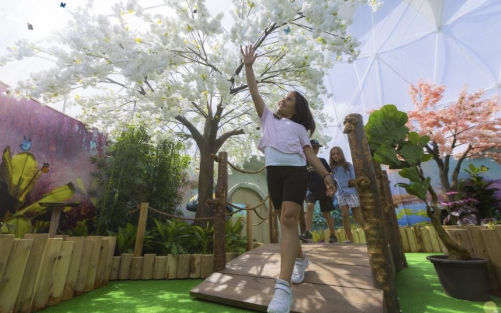 Bfly plans amusement centre expansion