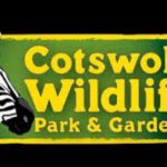 Wildlife park named best attraction in Cotswolds