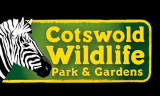 Wildlife park named best attraction in Cotswolds