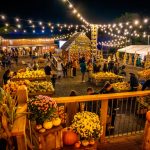 Europe’s Largest Pumpkin Festival Returns this September at Tulleys Farm