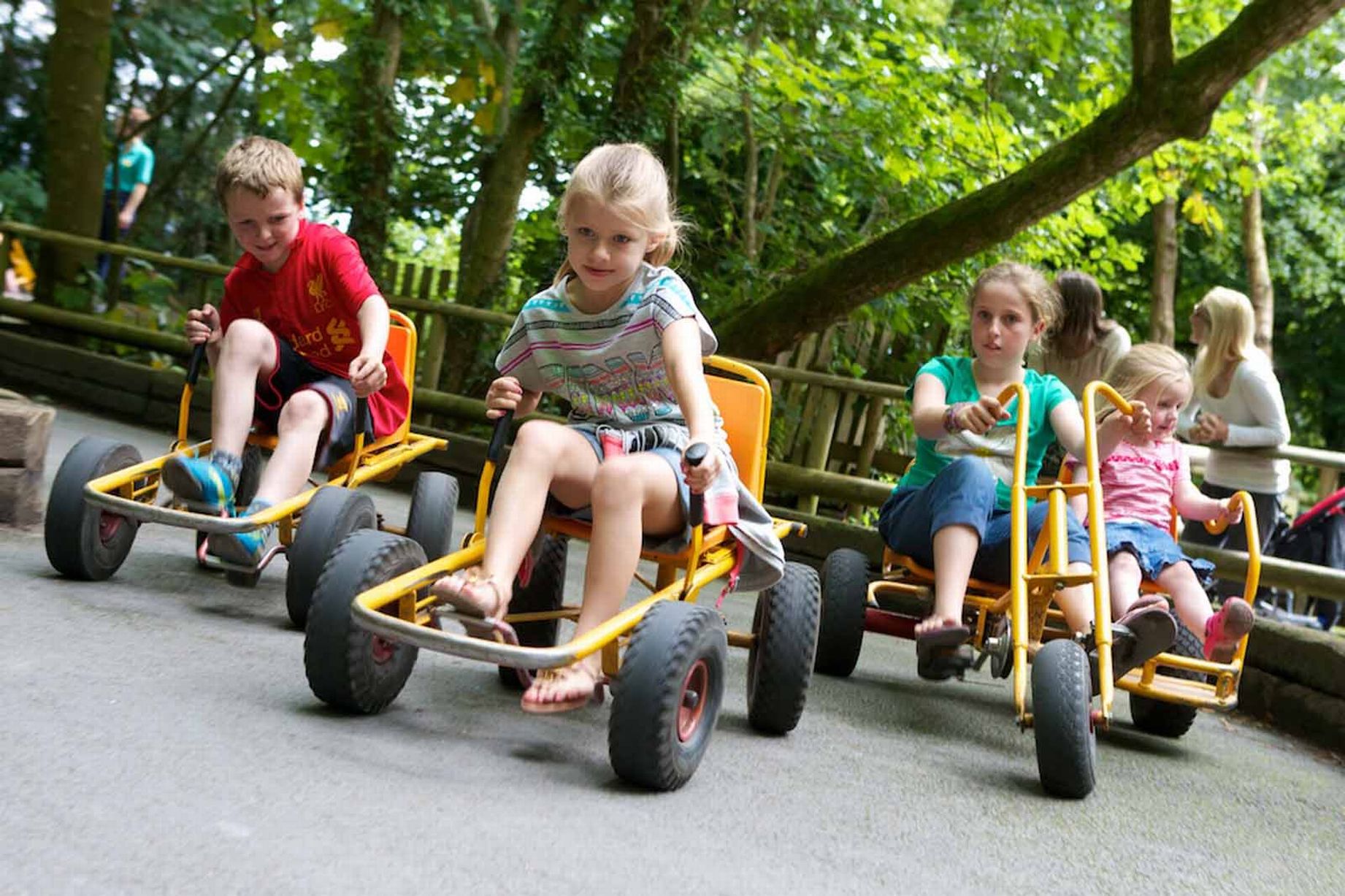 ATTRACTIONS: Continuum buys GreenWood Forest Park