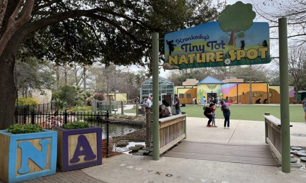 San Antonio Zoo’s Tiny Tot Tuesday Offers a Full Day of Adventures for Children Ages 0-3