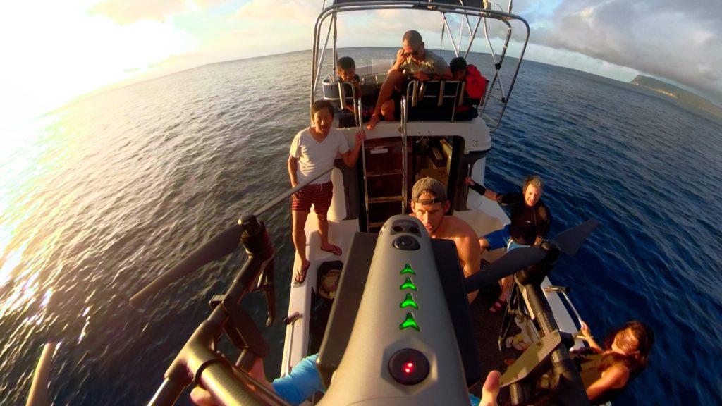 Immotion invites guests to swim with Humpback Whales 4 Immotion invites guests to swim with Humpback Whales