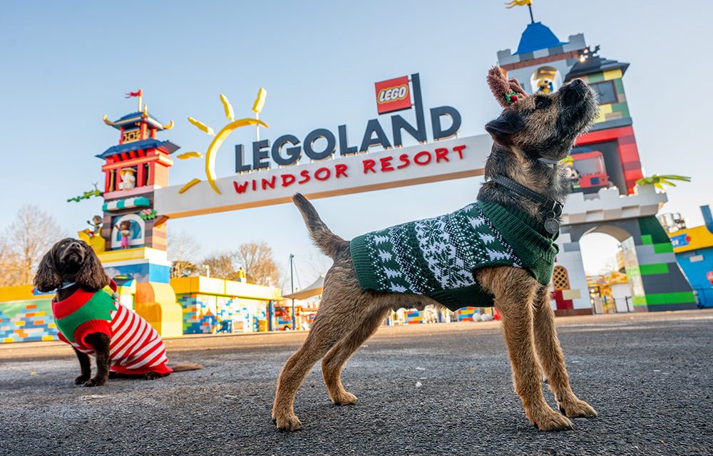 LEGOLAND Windsor Resort to welcome dogs to the park this Christmas