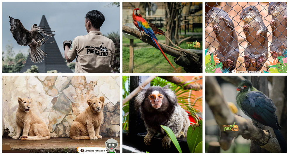 Semnox cashless technology powers Lembang Park & Zoo reopening