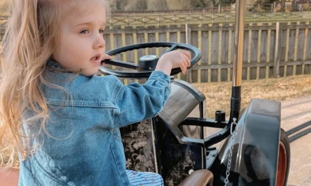 Lightwater Valley Amusement Park acquired by Mellors Group