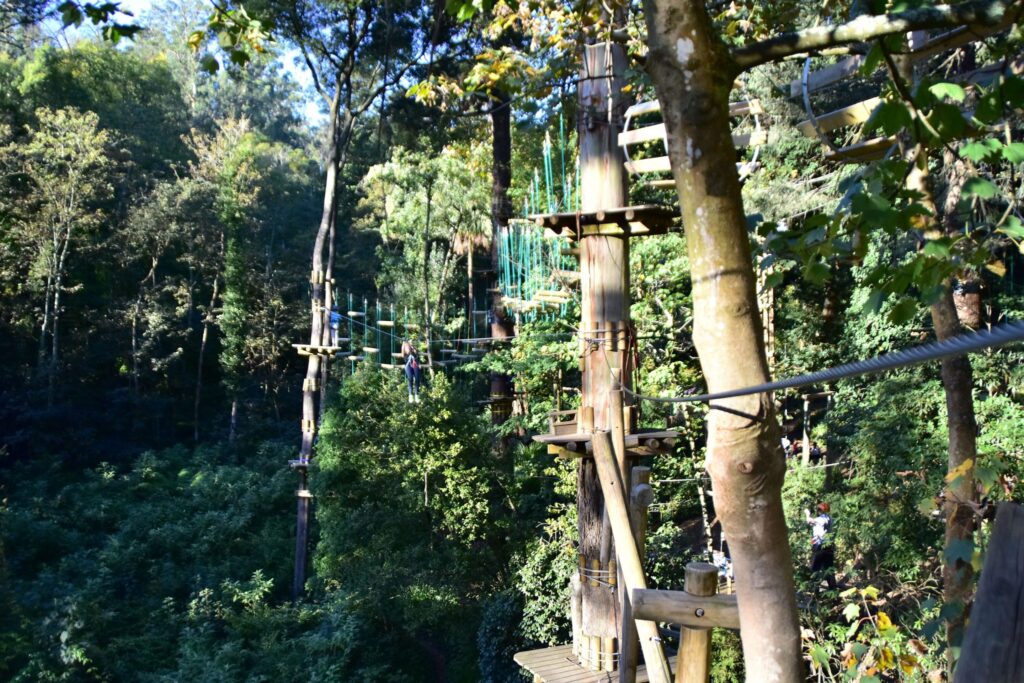 Experience Co acquires Trees Adventure, Australia