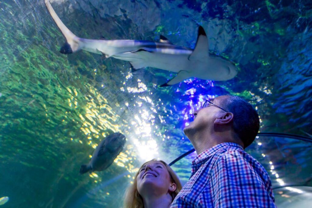 ABB drive helps create more sustainable environment at Sea Life Weymouth