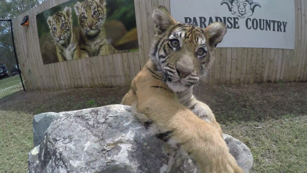 Paradise Country raises $40,000 for conservation