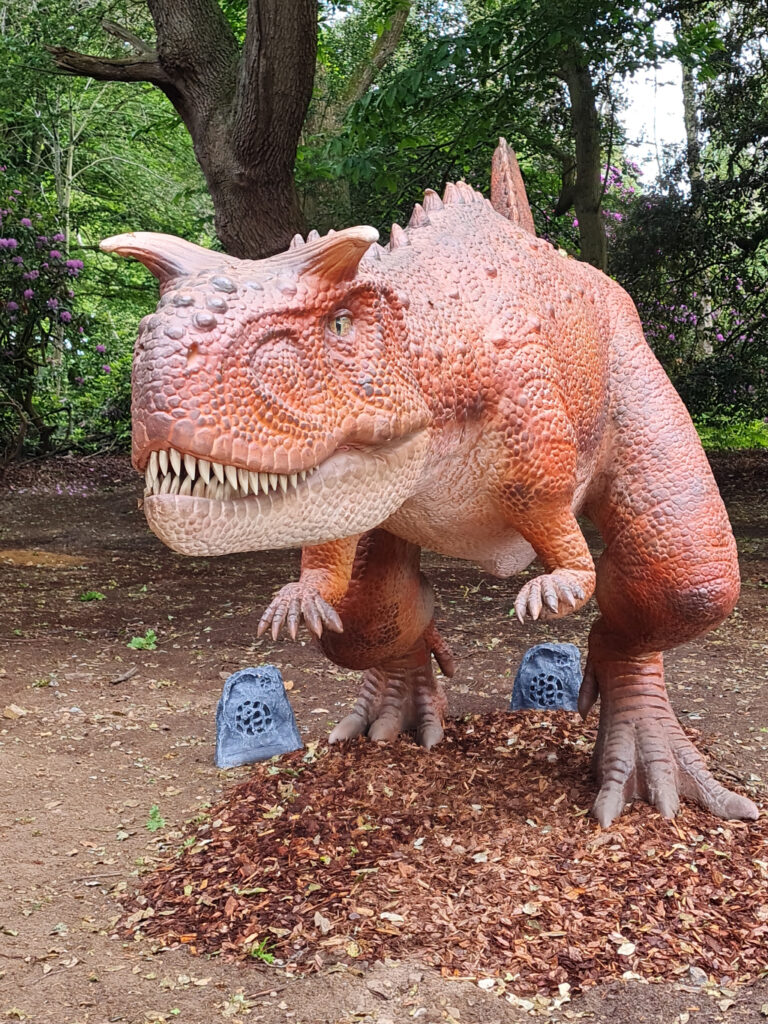 ROARR! unveils new attraction