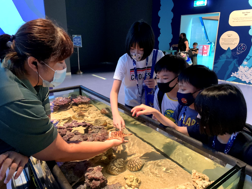 S.E.A. Aquarium opens new expanded, immersive zone