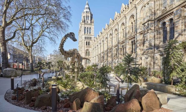 Natural History Museum breaks all-time record for visitor figures