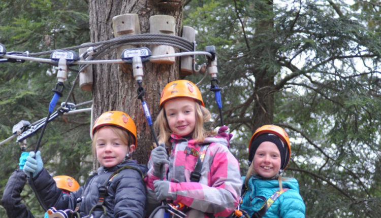 TreeTop Eco Adventure Park opens new course for little climbers 1 TreeTop Eco-Adventure Park opens new course for little climbers
