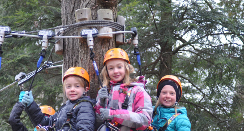 TreeTop Eco-Adventure Park opens new course for little climbers