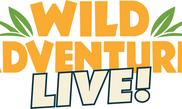 Wild Adventures announces 2027 concert series line up