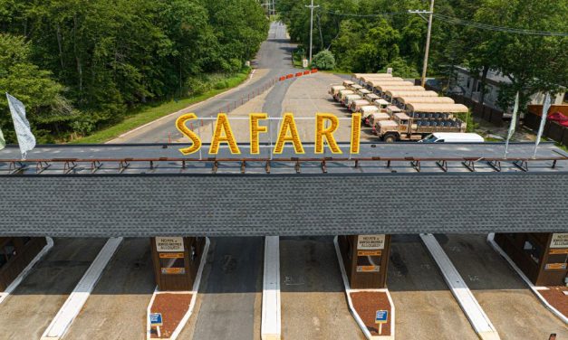 Six Flags Great Adventure’s Wild Safari Nominated for USA TODAY 10BEST Best Safari Park