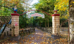 Multi-year contracts show signs of economy recovery