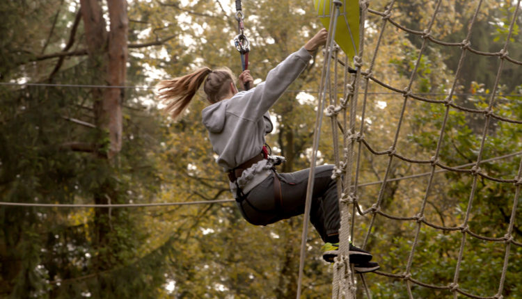shutterstock 506451400 Go Ape brings high ropes adventures to Haldon Forest Park